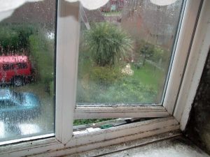 Wirral Damp Proofing ( WDP) condensation treatments