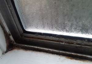 spotting the signs of condensation in your property