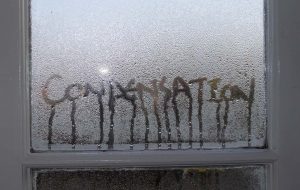 contact wirral damp proofing for condensation problems