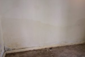 diagnosing cases of rising damp at your property