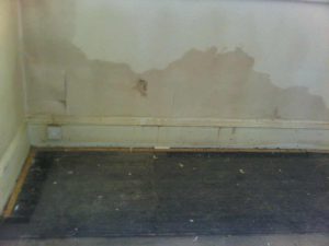 rising damp diagnosis at a property in wirral