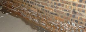 Wirral Damp Proofing ( WDP) rising damp banner image