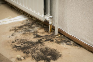 recent project for damp proofing in wirral