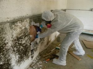 treating condensation in newcastle
