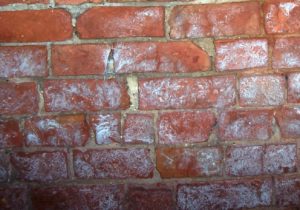 how to diagnose penetrating damp